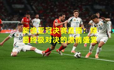 新浪亚冠决赛直播:绿茵终极对决的激情盛宴