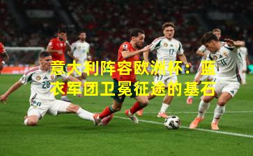 意大利阵容欧洲杯：蓝衣军团卫冕征途的基石