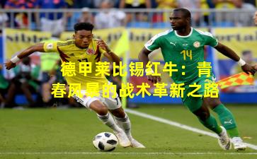 德甲莱比锡红牛：青春风暴的战术革新之路