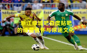 浙江绿城吧百度贴吧的绿茵情怀与球迷文化