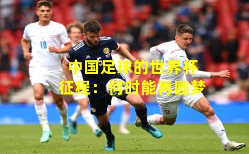中国足球的世界杯征程：何时能再圆梦