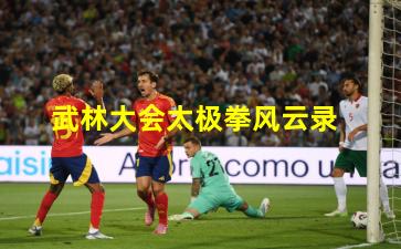 武林大会太极拳风云录