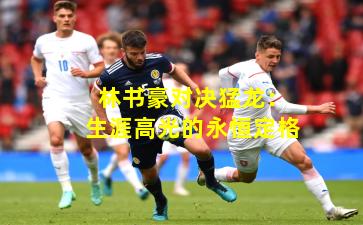 林书豪对决猛龙：生涯高光的永恒定格