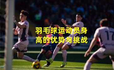 羽毛球运动员身高的优势与挑战